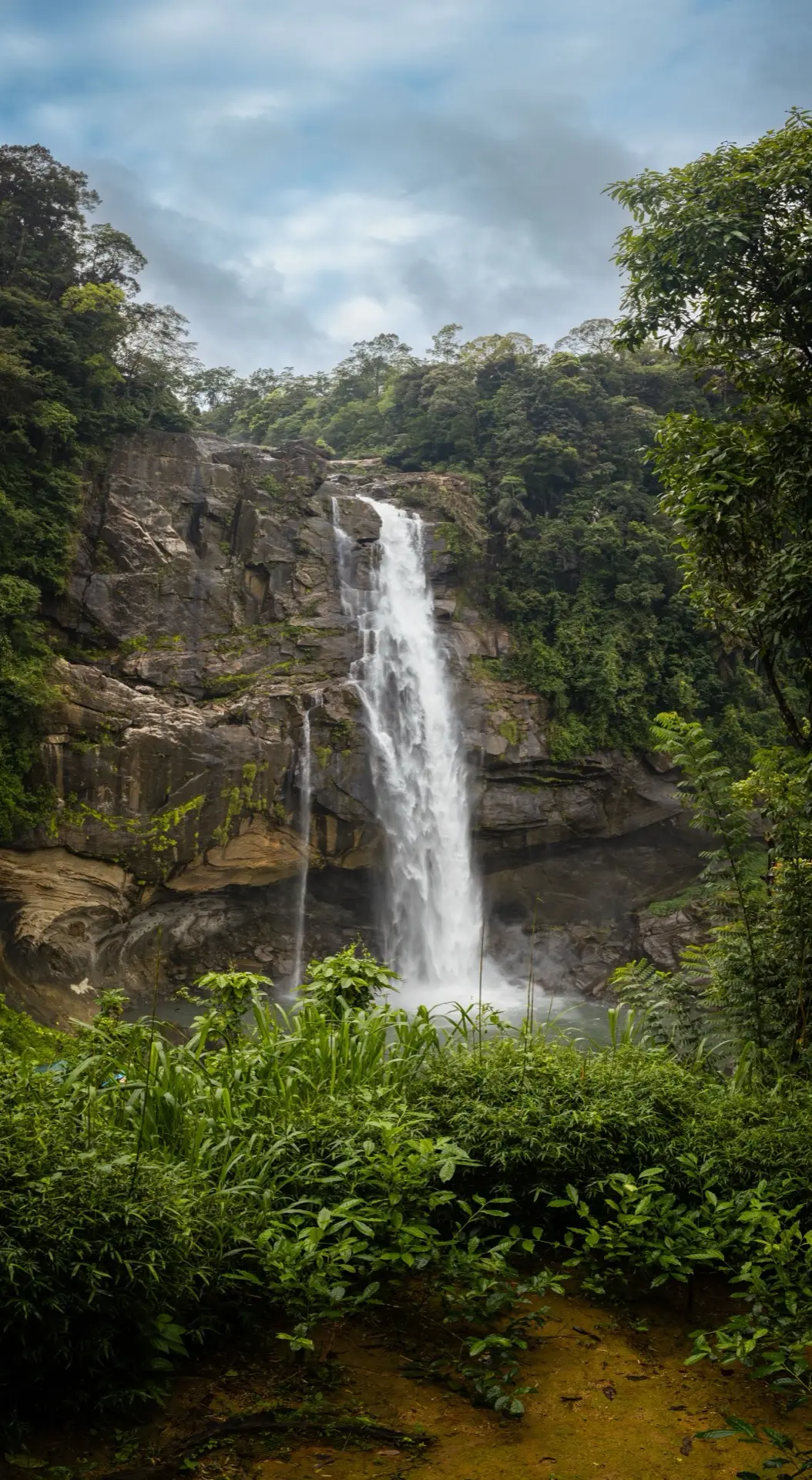 Aberdeen Falls dropping in a single column into a pool ringed by wet rock and fern.