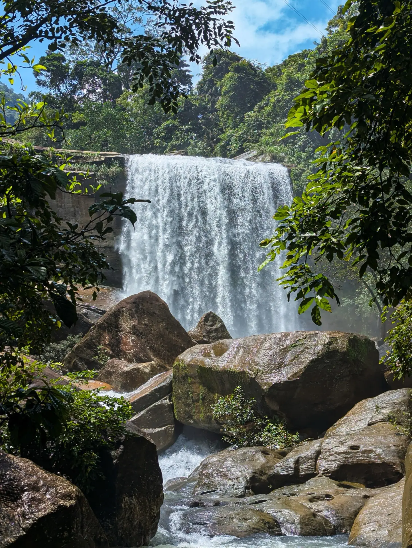 A waterfall stepping down mossy boulders through close, wet greenery.