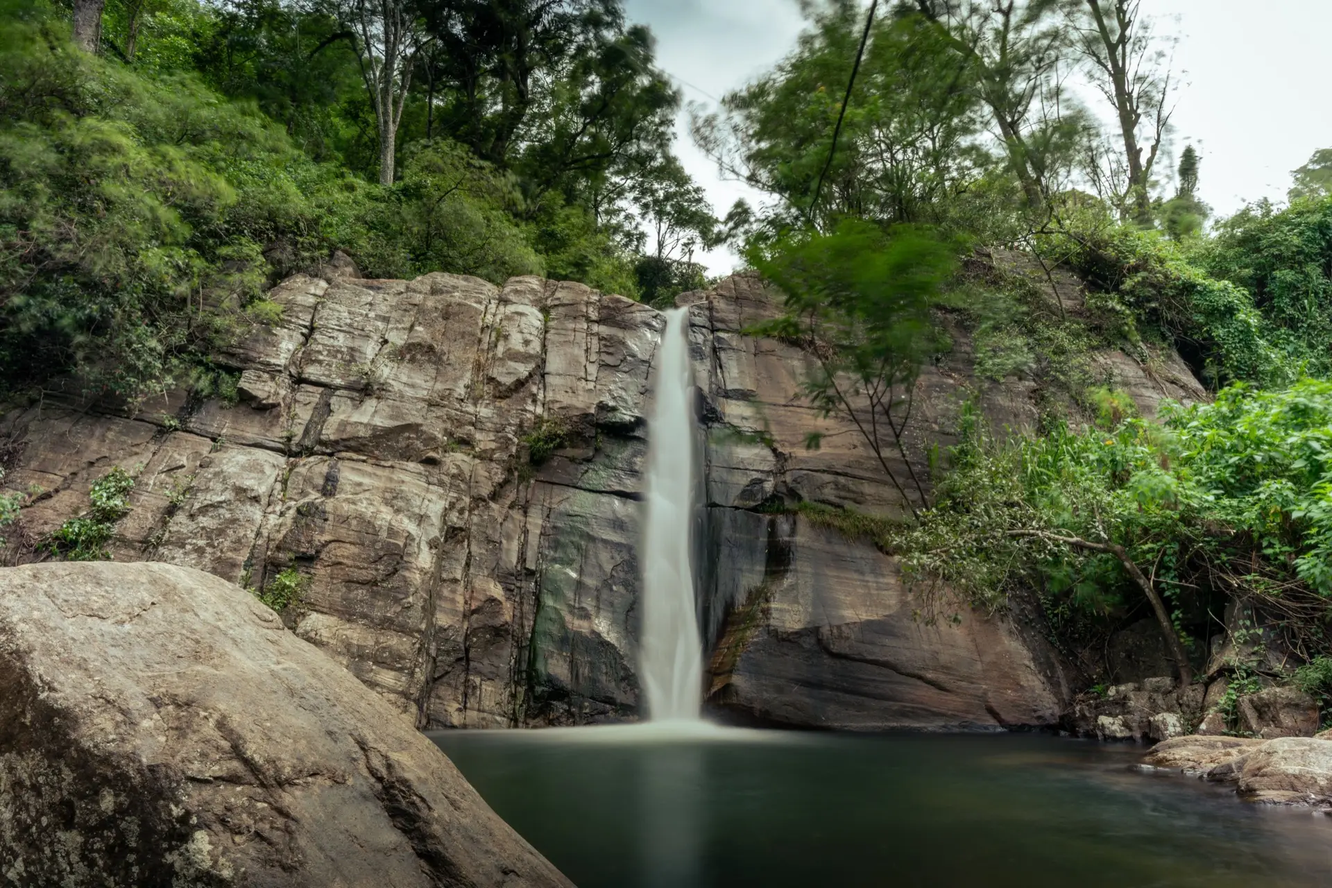 A quiet waterfall running through deep forest, the light green and filtered.