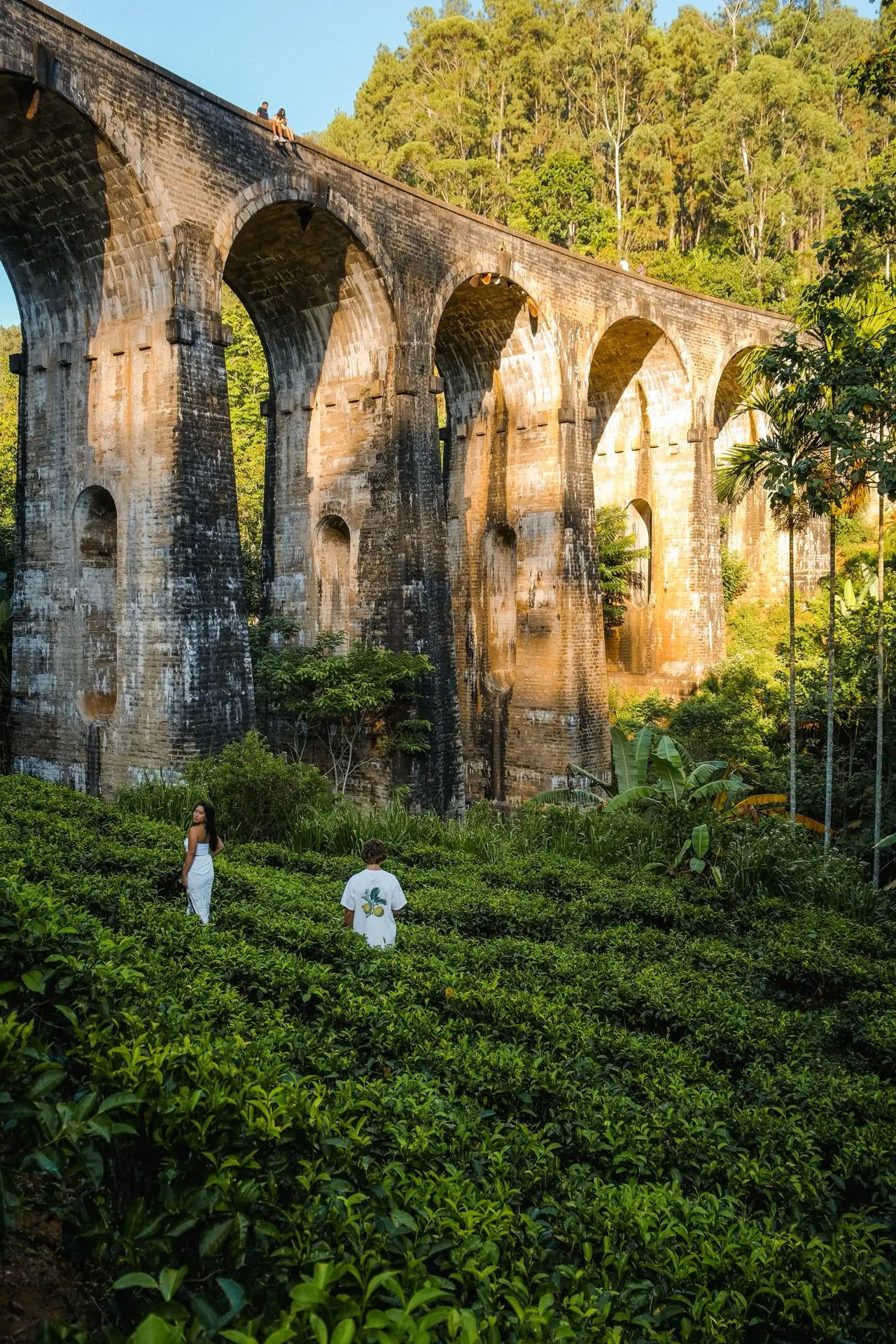 The Nine Arches Bridge, a stone viaduct curving through dense green hillside.