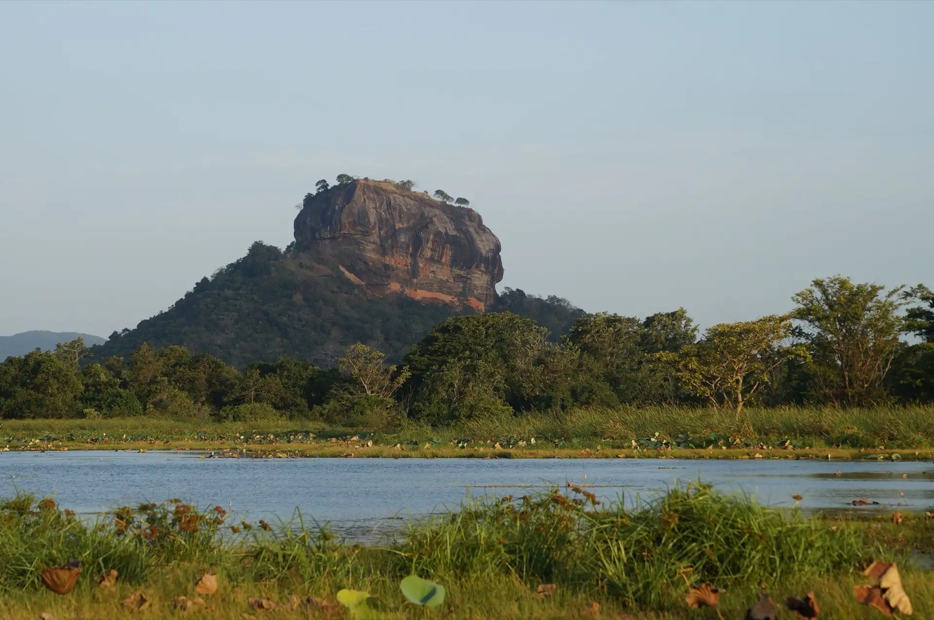 Sigiriya rock fortress rising from flat green forest, lit low and gold at sunrise.